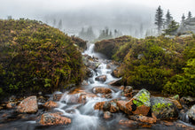 Load image into Gallery viewer, Serenity