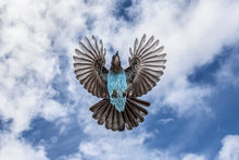 Load image into Gallery viewer, Steller Skies