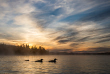 Load image into Gallery viewer, Sunrise Swim