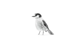 Load image into Gallery viewer, Wisakedjak