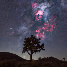 Load image into Gallery viewer, Cygnus