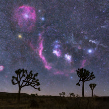 Load image into Gallery viewer, Orion