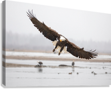 Load image into Gallery viewer, Giclée Stretched Canvas Print