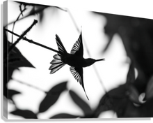 Load image into Gallery viewer, Giclée Stretched Canvas Print