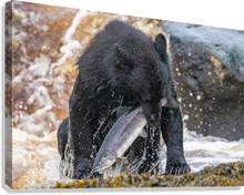 Load image into Gallery viewer, Giclée Stretched Canvas Print