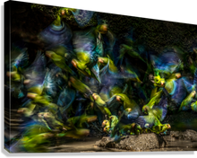 Load image into Gallery viewer, Giclée Stretched Canvas Print