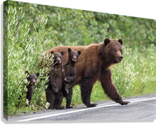 Load image into Gallery viewer, Giclée Stretched Canvas Print