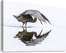 Load image into Gallery viewer, Giclée Stretched Canvas Print