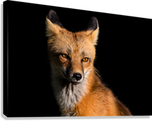 Load image into Gallery viewer, Giclée Stretched Canvas Print