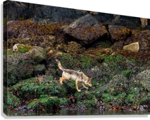 Load image into Gallery viewer, Giclée Stretched Canvas Print