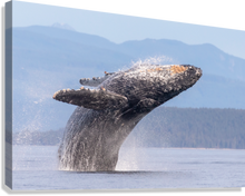 Load image into Gallery viewer, Giclée Stretched Canvas Print