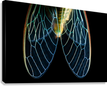 Load image into Gallery viewer, Giclée Stretched Canvas Print