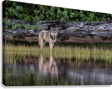 Load image into Gallery viewer, Giclée Stretched Canvas Print