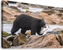 Load image into Gallery viewer, Giclée Stretched Canvas Print