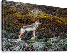 Load image into Gallery viewer, Giclée Stretched Canvas Print