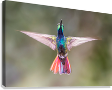 Load image into Gallery viewer, Giclée Stretched Canvas Print