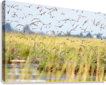 Load image into Gallery viewer, Giclée Stretched Canvas Print