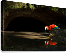 Load image into Gallery viewer, Giclée Stretched Canvas Print