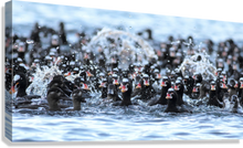 Load image into Gallery viewer, Giclée Stretched Canvas Print