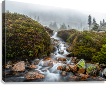 Load image into Gallery viewer, Giclée Stretched Canvas Print