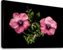 Load image into Gallery viewer, Giclée Stretched Canvas Print