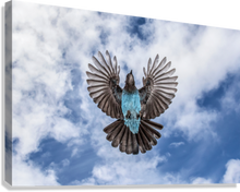 Load image into Gallery viewer, Giclée Stretched Canvas Print