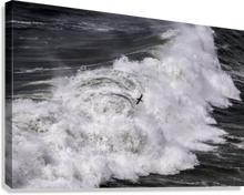 Load image into Gallery viewer, Giclée Stretched Canvas Print