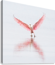 Load image into Gallery viewer, Giclée Stretched Canvas Print