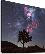 Load image into Gallery viewer, Giclée Stretched Canvas Print