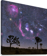 Load image into Gallery viewer, Giclée Stretched Canvas Print