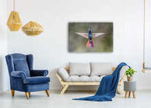 Load image into Gallery viewer, Rainforest Rapture