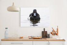 Load image into Gallery viewer, Snowy Swim