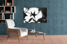 Load image into Gallery viewer, Brilliant Silhouette