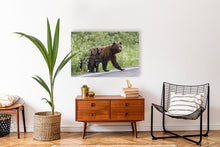 Load image into Gallery viewer, Curiosity