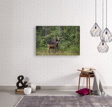 Load image into Gallery viewer, Mother Moose