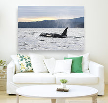 Load image into Gallery viewer, Tsuchi