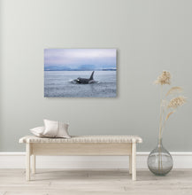 Load image into Gallery viewer, Sea Wolf