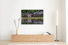 Load image into Gallery viewer, Of Land and Sea