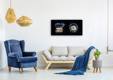 Load image into Gallery viewer, Egg Yolk Jelly