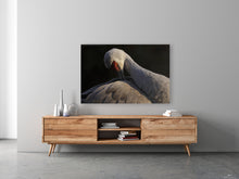 Load image into Gallery viewer, Feather Maintenance