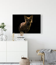 Load image into Gallery viewer, Backlit