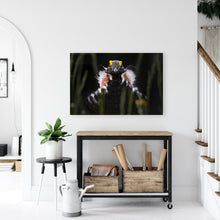 Load image into Gallery viewer, Dusky Display