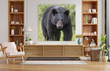Load image into Gallery viewer, Beautiful Bear