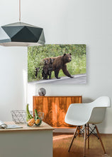 Load image into Gallery viewer, HD Sublimation Metal Print