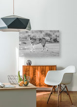 Load image into Gallery viewer, HD Sublimation Metal Print