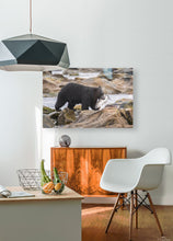 Load image into Gallery viewer, HD Sublimation Metal Print