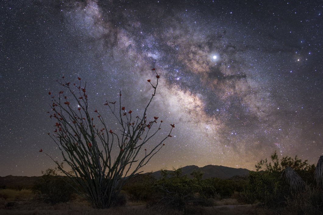 Under the Stars