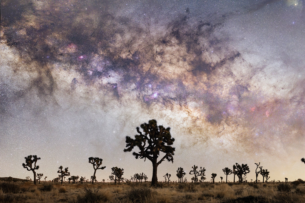 Under the Milky Way