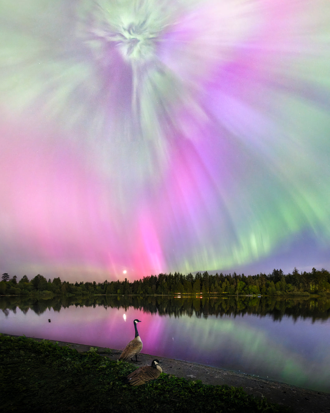 Under the Northern Lights