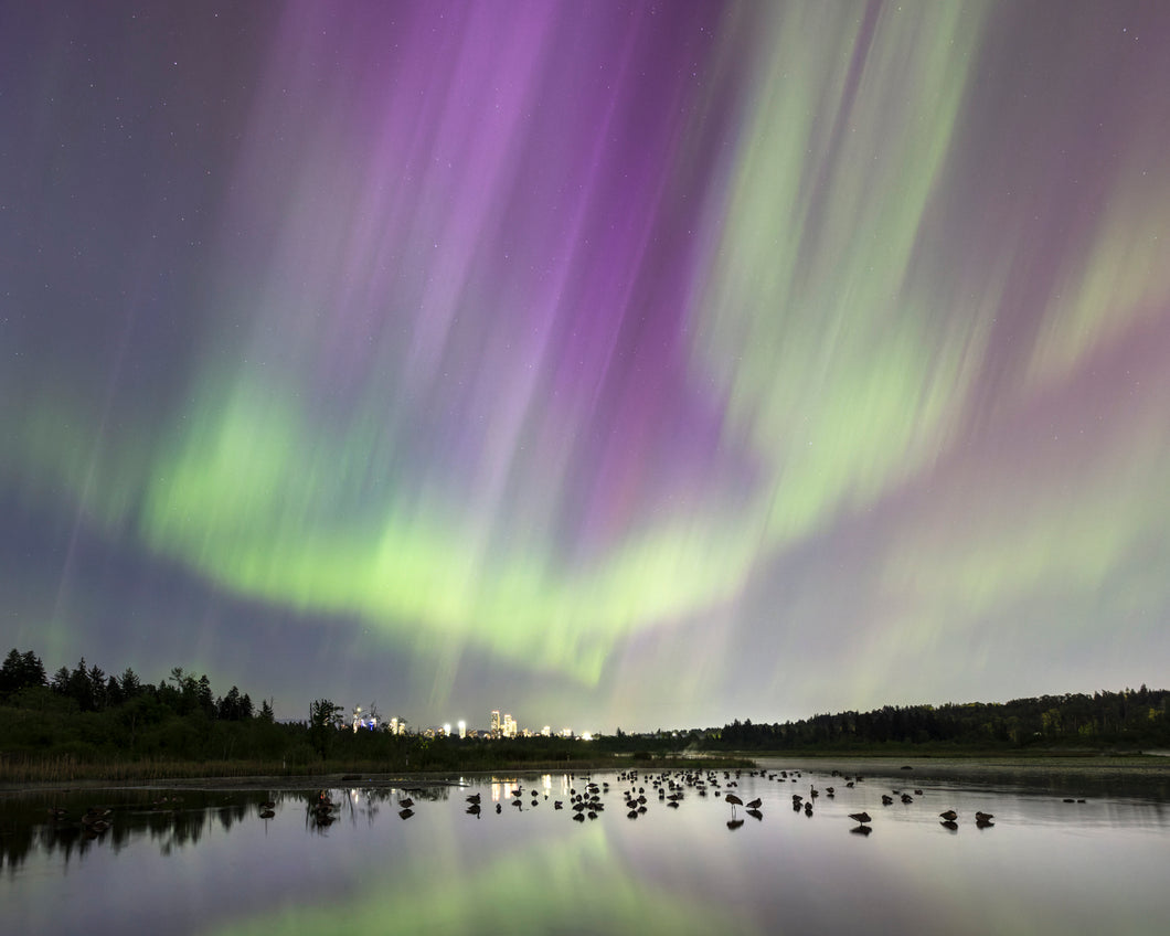 Night of the Northern Lights